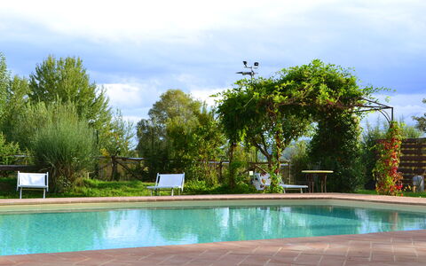 Appartamento Pietra Viva, Wifi, Near Perugia: Piscine, Mobilier De Jardin, Recours, Jardin, Ombre, Loisir, Eco Hôtel, Aménagement Paysager, Arrière-Cour