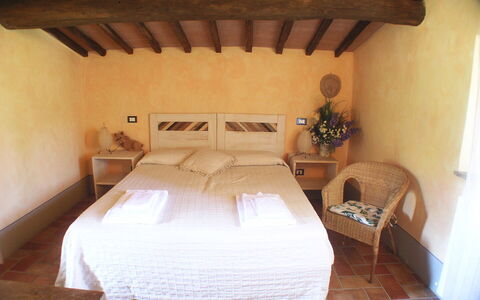 Appartamento Pietra Viva, Wifi, Near Perugia: Meubles, Sol, Sol, Ferme, Chambre, Lit, Chaise, Cadre De Lit, Tache De Bois, Plante D'Appartement