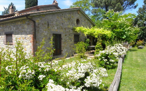 Appartamento Poggiolo, Wifi, Near Perugia: Arbuste, Jardin, Chalet, Printemps, Couverture De Sol, Aménagement Paysager, Arrière-Cour, Cour, Ferme