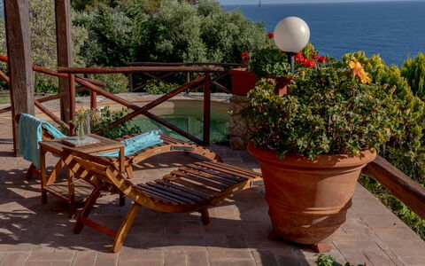 Villa Argentina: Meubles, Mer, Pot De Fleur, Cotiers Et Relief Océaniques, Mobilier De Jardin, Océan, Côte, Tableau De Plein Air, Chaise, Plante D'Appartement