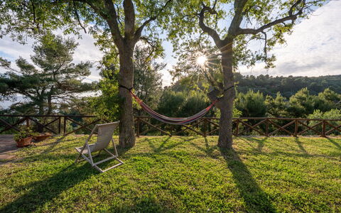 Villa Argentina: Branche, Bois, Meubles, Paysage, Tronc, Lumière Du Soleil, Ombre, Jardin, Mobilier De Jardin, Brindille