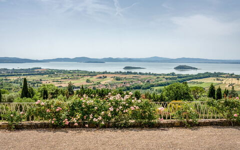 Villa Domus Papi: Paysage, Arbuste, Plantation