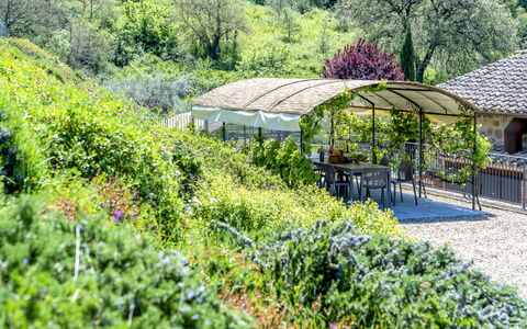 Villa Trasimena: Végétation, Arbuste, Jardin, Paysage, Communauté Des Plantes, Couverture De Sol, Printemps, Aménagement Paysager, Jardin Botanique