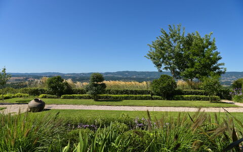 Podere Vigna Nuova: Ciel, Vert, La Nature, Arbre, Herbe, Environnement Naturel, Feuille, Paysage Naturel, Végétation