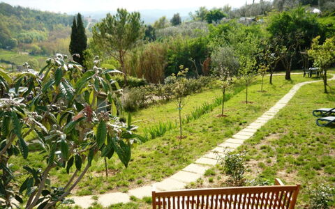 Podere Oliveta: Végétation, Jardin, Arbuste, Communauté Des Plantes, Couverture De Sol, Printemps, Jardin Botanique, Plantation, Aménagement Paysager, Passerelle