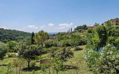 Podere Oliveta: Végétation, Arbuste, Communauté Des Plantes, Zone Rurale, Station De Montagne, Plantation, Jardin, Formations Arbustives, Jardin Botanique, Chaparral