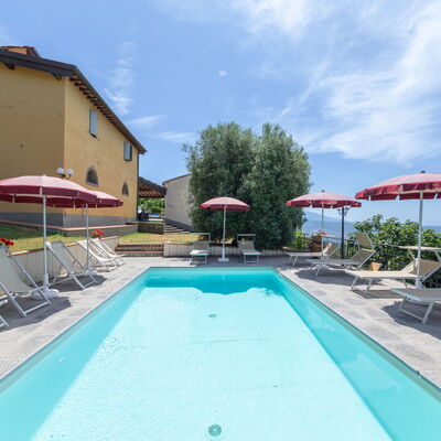 Rufina 974: Mobilier De Jardin, Piscine, Vélo, Parking, Villa, Hôtel, Recours, Plante D'Appartement, Balancelle