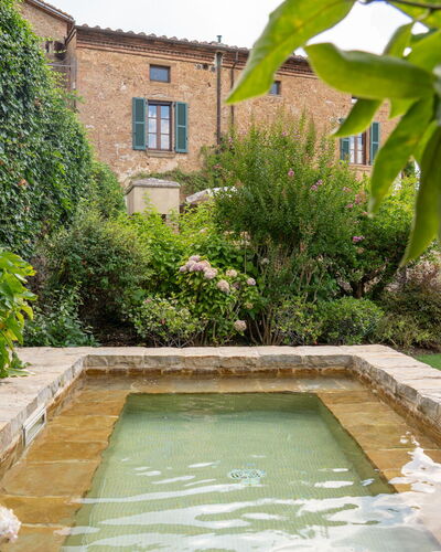 Town House Garden: Arbuste, Jardin, Caractéristique De L'Eau, Aménagement Paysager, Arrière-Cour, Haie, Cour, Piscine, Dalle, Jardin Botanique