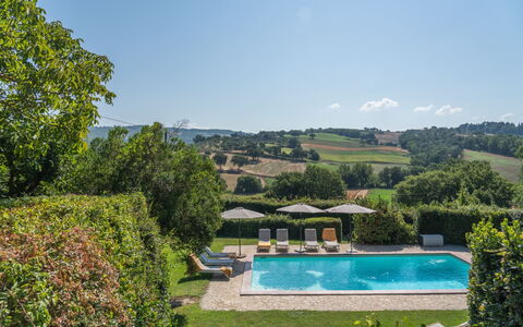 La Piccola Oasi: Piscine, Recours, Jardin, Biens, Aménagement Paysager, Eco Hôtel, Balancelle, Mobilier De Jardin, Villa, Arrière-Cour