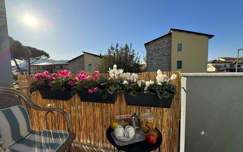 Sto Bene Qua: Pot De Fleur, Balcon, Plante D'Appartement, Floristique, Art Floral, Cour