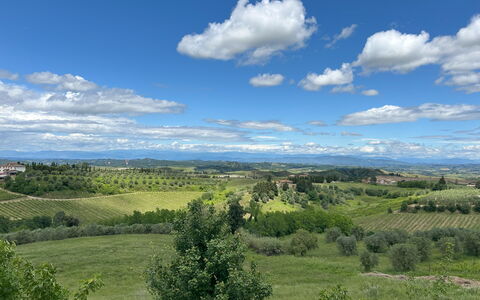 Belmonte Spereto Apartment With Pool, Montaione: Ciel, Jour, Environnement Naturel, Herbe, La Nature, Nuage, Horizon, Végétation, Paysage Naturel, Prairie