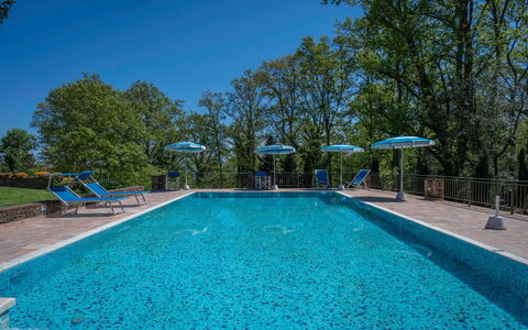 Grace Home, Pool, Wifi, Gambassi Terme: Bleu, Piscine, Recours, Mobilier De Jardin, Eco Hôtel, Ombre, Ville Resort, Caractéristique De L'Eau, Aménagement Paysager, Villa