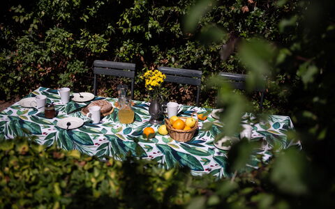 Green Hill Apartment In Tuscan Countryside: Nappe De Table, Linge, Serveware, Aliments, Tableau De Plein Air, Vaisselle, Produire, Fruit, Mobilier De Jardin