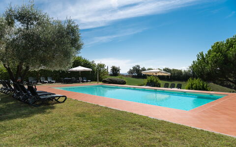 Green Hill Apartment In Tuscan Countryside: Biens, Piscine, Hacienda, Aménagement Paysager, Recours, Plantation, Eco Hôtel, Villa, Ferme