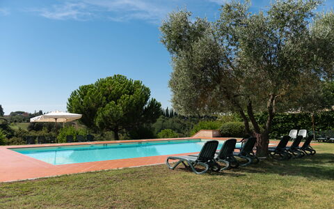 Green Hill Apartment In Tuscan Countryside: Piscine, Recours, Hacienda, Jardin, Biens, Aménagement Paysager, Eco Hôtel, Ombre, Mobilier De Jardin, Villa