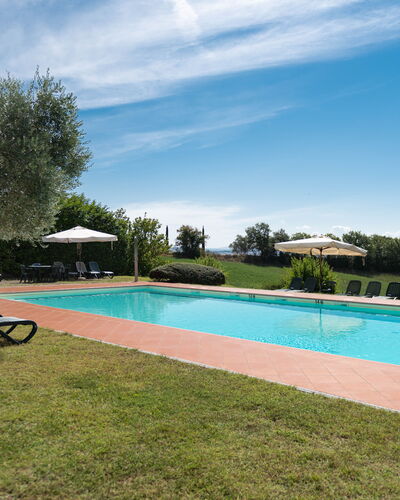 Green Hill Apartment In Tuscan Countryside: Biens, Piscine, Hacienda, Aménagement Paysager, Recours, Plantation, Eco Hôtel, Villa, Ferme