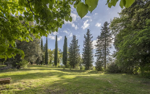 Cottage Monti Pet Friendly With Shared Pool: Feuille, Arbre, La Nature, Environnement Naturel, Vert, Branche, Végétation, Paysage Naturel, Arbuste, Communauté Des Plantes