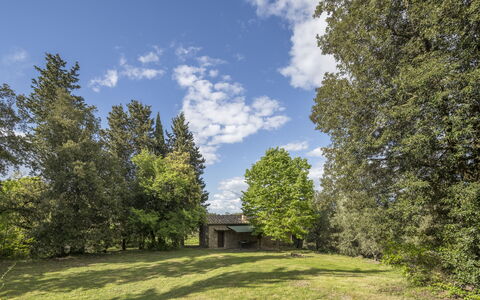 Cottage Monti Pet Friendly With Shared Pool: Arbre, Herbe, Feuille, Environnement Naturel, Branche, La Nature, Végétation, Arbuste, Prairie, Paysage