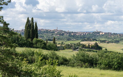Capanna Di Elfo: Herbe, Prairie, Végétation, Horizon, Paysage, Écorégion, Plaine, Lot Terre, Communauté Des Plantes, Prairie