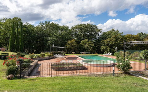 Dimora Di Castroncello: Arbre, Paysage, Jardin, Pelouse, Parc, Aménagement Paysager, Ombre, Biens, Cour