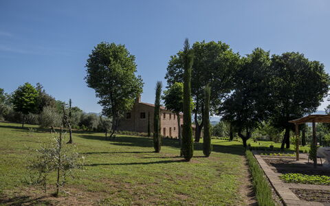 Villa Cortona: Eco-Sustainable Luxury Estate with: Herbe, Arbre, Prairie, Plaine, Arbuste, Lot Terre, Zone Rurale, Tronc