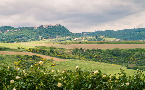 Villa Petrosa: Your Private Escape Overlooking the: Vert, Végétation, Paysage Naturel, Colline, Prairie, Paysage, Zone Rurale, Plantation, Plaine, Champ