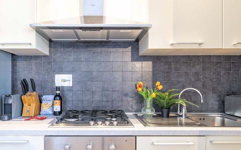 Green Suite Florence: Appareil De Cuisine, Cuisine, Comptoir, Principaux Appliance, Cuisinière, Électroménager, Cabinetry, Le Fourneau, Gaz Poele, Evier