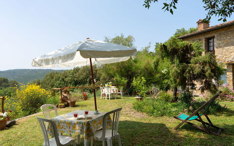 Casa Livia: Meubles, Table, Mobilier De Jardin, Chaise, Arbuste, Tableau De Plein Air, Jardin, Table Cuisine Et Salle A Manger, Arrière-Cour, Ombre