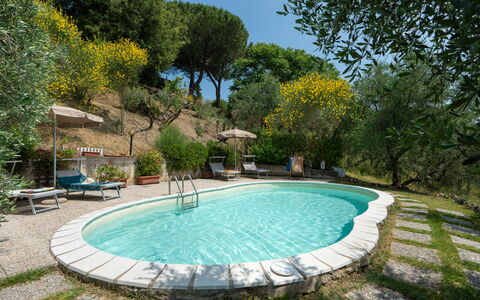 Casa Livia: Piscine, Mobilier De Jardin, Meubles, Recours, Chaise, Jardin, Arrière-Cour, Eco Hôtel, Ombre, Hacienda