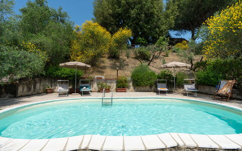 Casa Livia: Piscine, Meubles, Mobilier De Jardin, Chaise, Recours, Parapluie, Ombre, Tableau De Plein Air, Jardin, Arrière-Cour