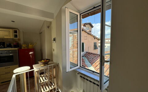 Anna: Mur, Appartement, Domicile, Tache De Bois, Dur, Peindre, Daylighting, Plante D'Appartement, Balcon, Aluminium