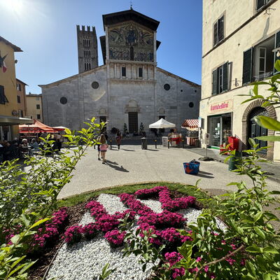 Anna: Bâtiment, Fenêtre, Ville, Façade, Pot De Fleur, Parapluie, Tableau De Plein Air, Mobilier De Jardin, Centre De La Ville, Plante D'Appartement
