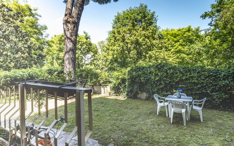 Suite Vogel: Feuille, Arbuste, Jardin, Ombre, Printemps, Lumière Du Soleil, Arrière-Cour, Pelouse, Aménagement Paysager, Cour