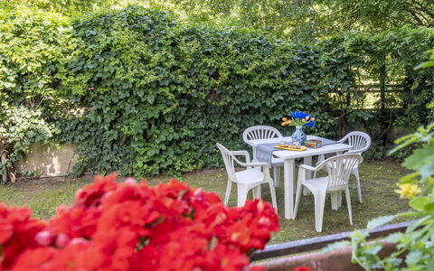 Suite Vogel: Feuille, Vert, Arbuste, Jardin, Couverture De Sol, Printemps, Ombre, Arrière-Cour, Cour, Aménagement Paysager