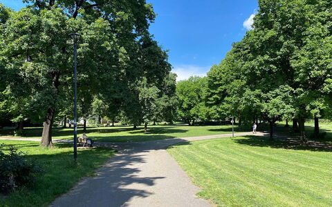 Suite Vogel: Jour, Herbe, Feuille, Arbre, Environnement Naturel, Branche, La Nature, Végétation, Arbuste, Espace Public
