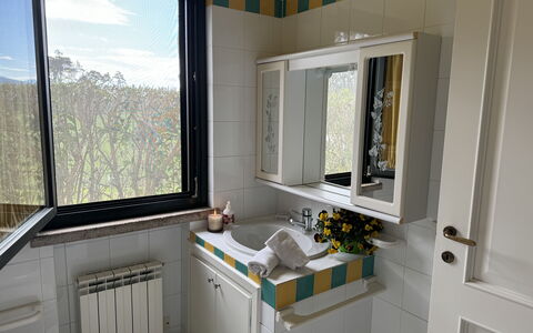 Green Hills 13: Luminaire Plomberie, Évier, Lavabo, Design Intérieur, Robinet, Plomberie, Salle De Bains, Comptoir, Pièce, Miroir