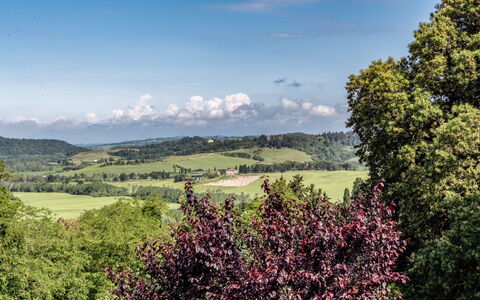 Tenuta i Mandorli, Pool, Wifi, Peccioli: Vert, Arbre, Feuille, La Nature, Environnement Naturel, Montagnes Relief, Paysage Naturel, Végétation, Colline, Prairie
