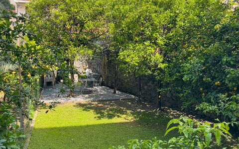 Corso Roma 15 Vacanze - Levanto: Vert, Feuille, Végétation, Arbuste, Jardin, Couverture De Sol, Printemps, Aménagement Paysager, Arrière-Cour, Cour