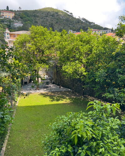 Corso Roma 15 Vacanze - Levanto: Vert, Feuille, Végétation, Arbuste, Jardin, Couverture De Sol, Printemps, Aménagement Paysager, Arrière-Cour, Cour