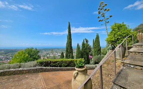 Uno Sguardo sul Mare: Paysage, Aménagement Paysager, À Feuilles Persistantes, Jardin Botanique, Famille Pine