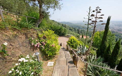 Uno Sguardo sul Mare: Végétation, Arbuste, Paysage, Communauté Des Plantes, Jardin, Couverture De Sol, Passerelle, Piste, Jardin Botanique
