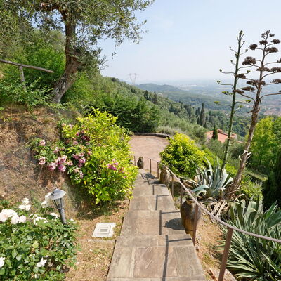 Uno Sguardo sul Mare: Végétation, Arbuste, Paysage, Communauté Des Plantes, Jardin, Couverture De Sol, Passerelle, Piste, Jardin Botanique