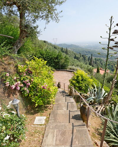 Uno Sguardo sul Mare: Végétation, Arbuste, Paysage, Communauté Des Plantes, Jardin, Couverture De Sol, Passerelle, Piste, Jardin Botanique
