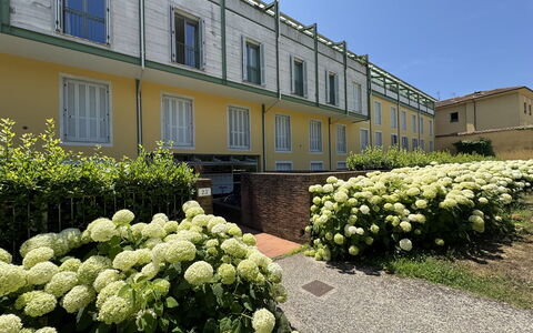 Ai Cantici: Arbuste, Jardin, Aménagement Paysager, Ombre, Haie, Cour, Cour, Biens, Pelouse, Arrière-Cour