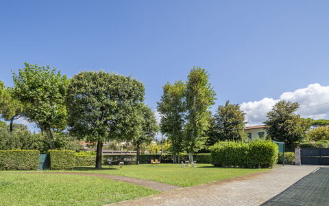 Attico Marino: Vert, Herbe, Arbuste, Espace Public, Jardin, Couverture De Sol, Pelouse, Ombre, Haie, Aménagement Paysager