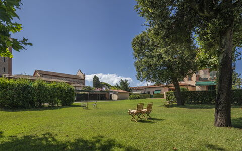 Attico Marino: Herbe, Arbre, Arbuste, Paysage, Lot Terre, Jardin, Pelouse, Couverture De Sol, Ombre