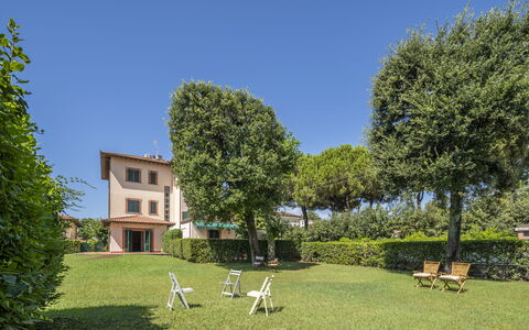 Attico Marino: Herbe, Arbuste, Domicile, Lot Terre, Pelouse, Jardin, Biens, Cour, Aménagement Paysager, Haie