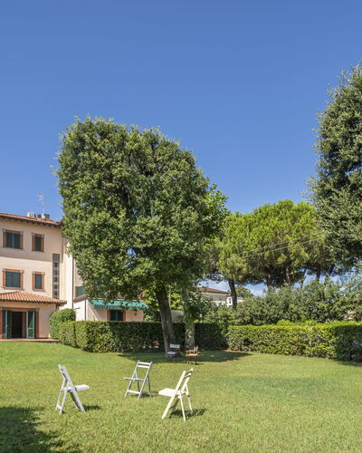Attico Marino: Herbe, Arbuste, Domicile, Lot Terre, Pelouse, Jardin, Biens, Cour, Aménagement Paysager, Haie