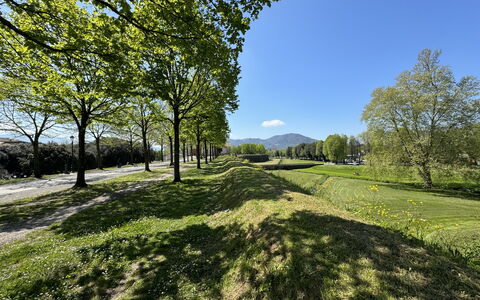 Il Cervo In Città: Vert, Herbe, La Nature, Paysage Naturel, Végétation, Prairie, Colline, Plaine, Paysage, Lot Terre
