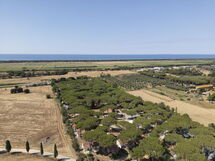 Logement:&nbsp;Appartamento Standard 649.3